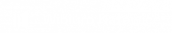Wirtualne Biuro Katowice logo