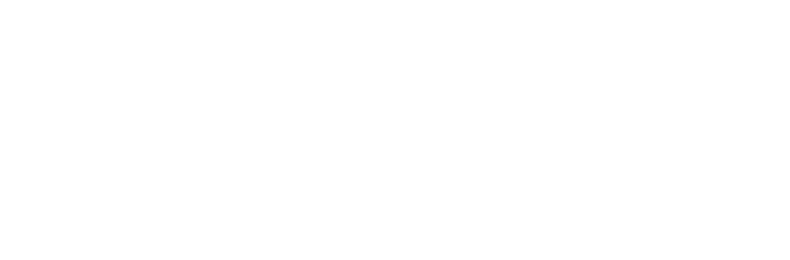 Smart Biznes logo